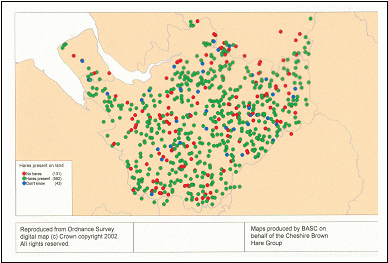 Distribution of Brown Hare